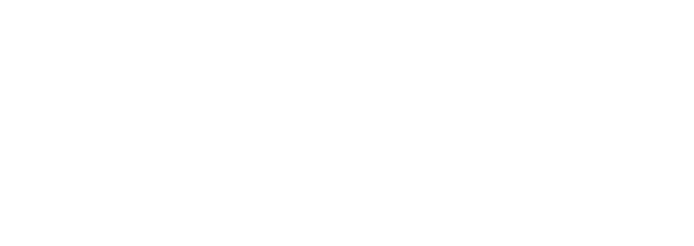 Mister Chips